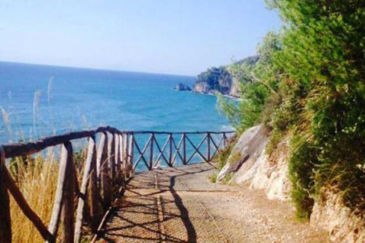 Dove cercarli: i percorsi del silenzio