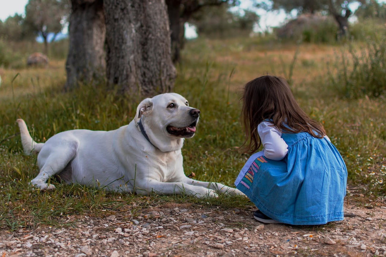 Cane al parco la domenica: come gestire i bambini sconosciuti
