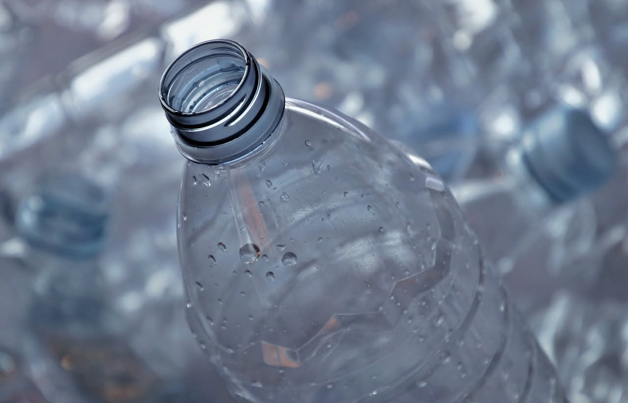 Bottiglia di plastica al cane: perché il riciclo casalingo può essere pericoloso