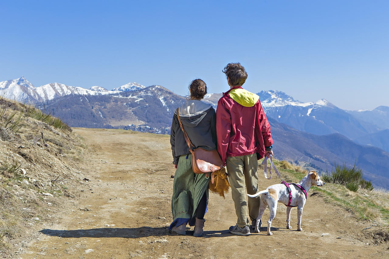 Cane sotto la pioggia: come gestire le passeggiate primaverili