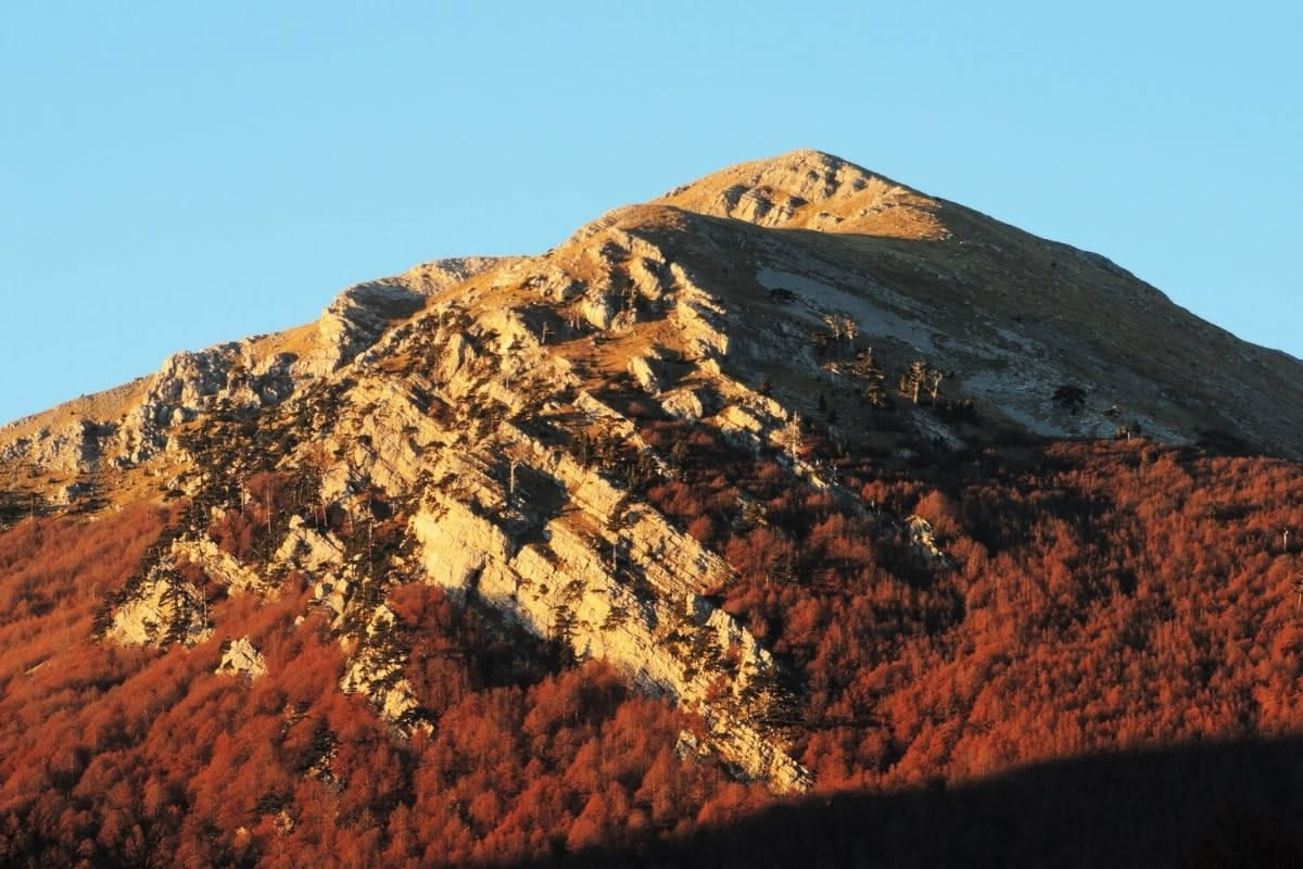 Falchi in Appennino: gli errori che rovini la tua prima visita ai parchi