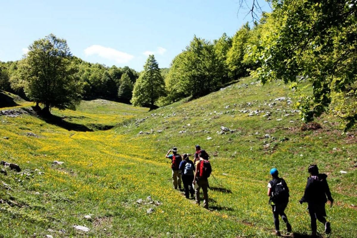 Parco del Cilento primavera: quali animali osservare nelle escursioni