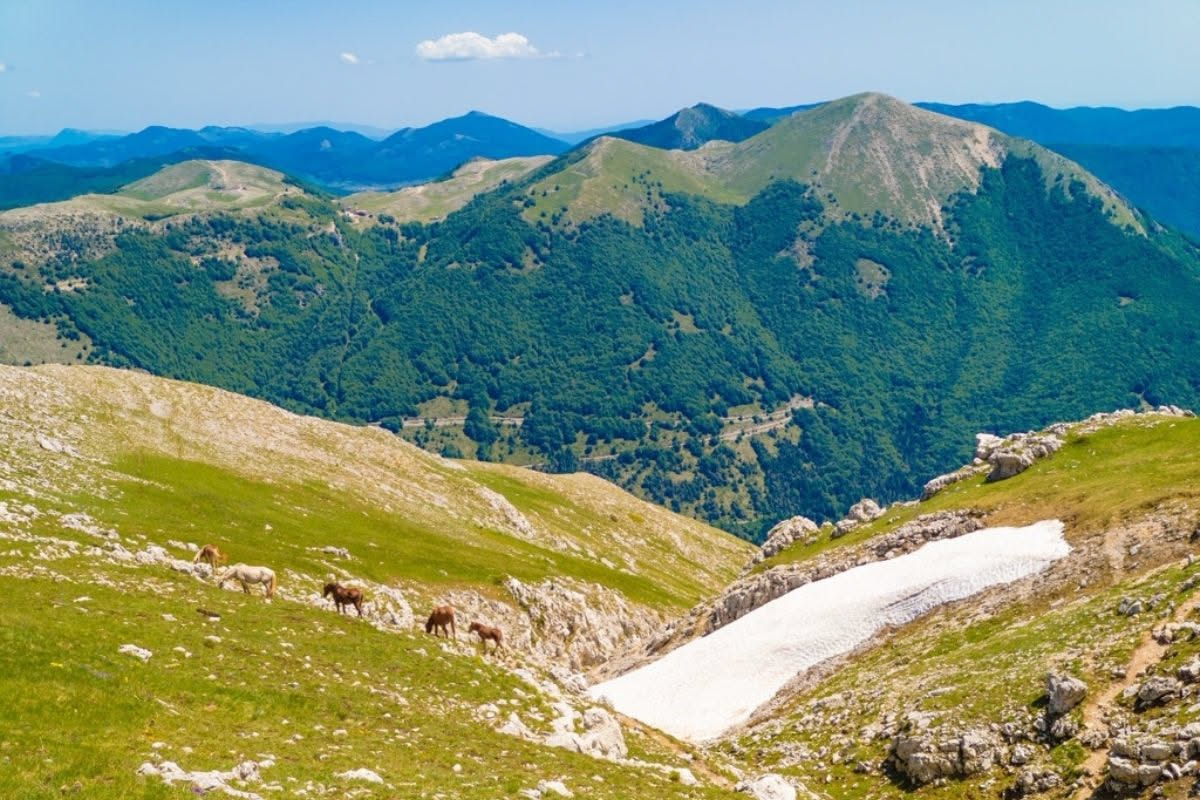 Parco delle Madonie: quali animali osservare in primavera
